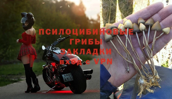 гидропоника Новозыбков