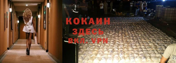 mdpv Новодвинск