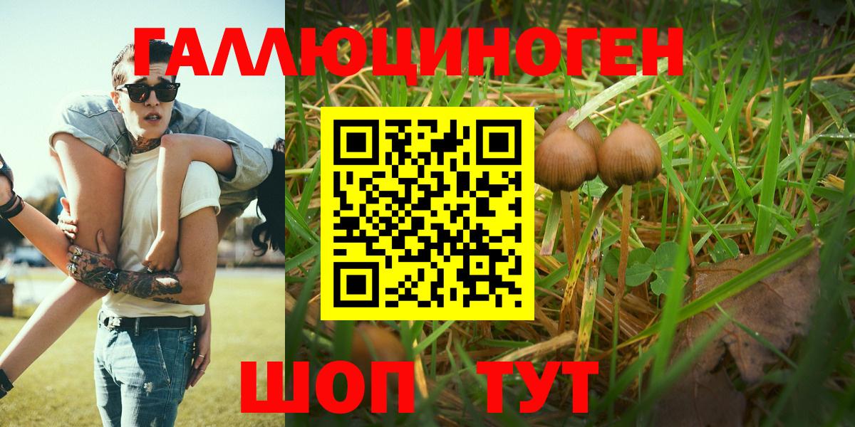 Псилоцибиновые грибы MAGIC MUSHROOMS  Вход с VPN  Краснокаменск  Псилоцибиновые грибы прущие грибы 